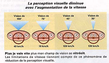 champdevision.jpg