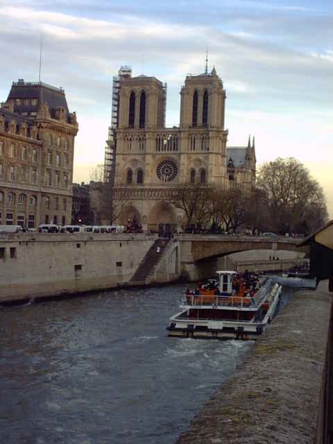 notredamebatxmouche.jpg