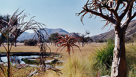 paradisaulodge.jpg