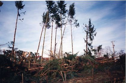 tempete2000c.jpg